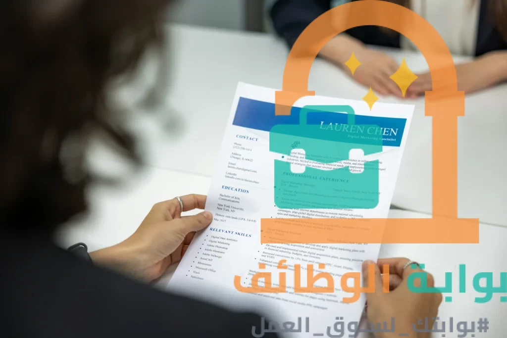 ماذا اكتب في السيرة الذاتية بطريقة احترافية للباحثين عن عمل